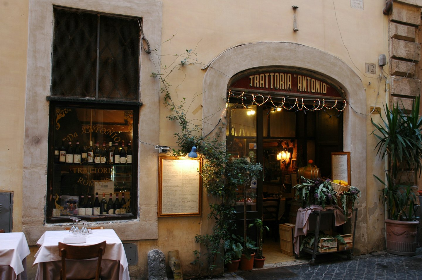 Ingresso accogliente di una trattoria con luci a filo, piante e esposizione di bottiglie di vino.